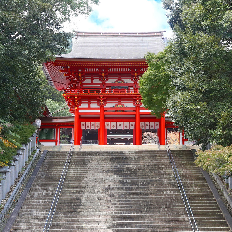 メタセコイア並木