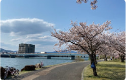 唐橋公園