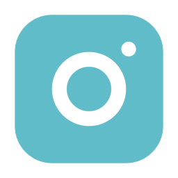 INS