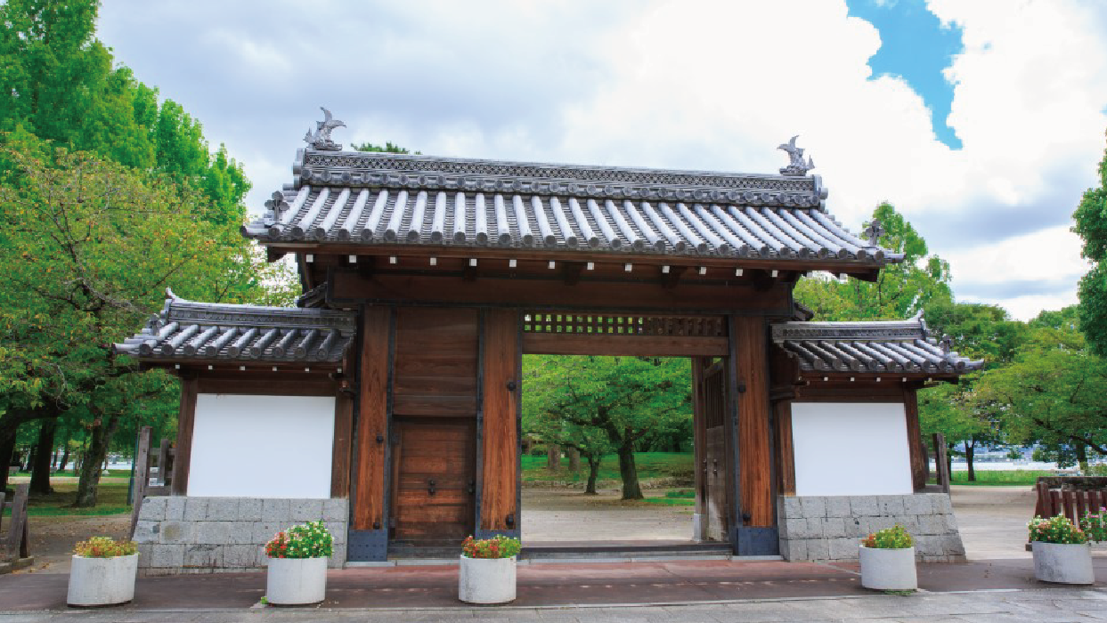 Tour Image