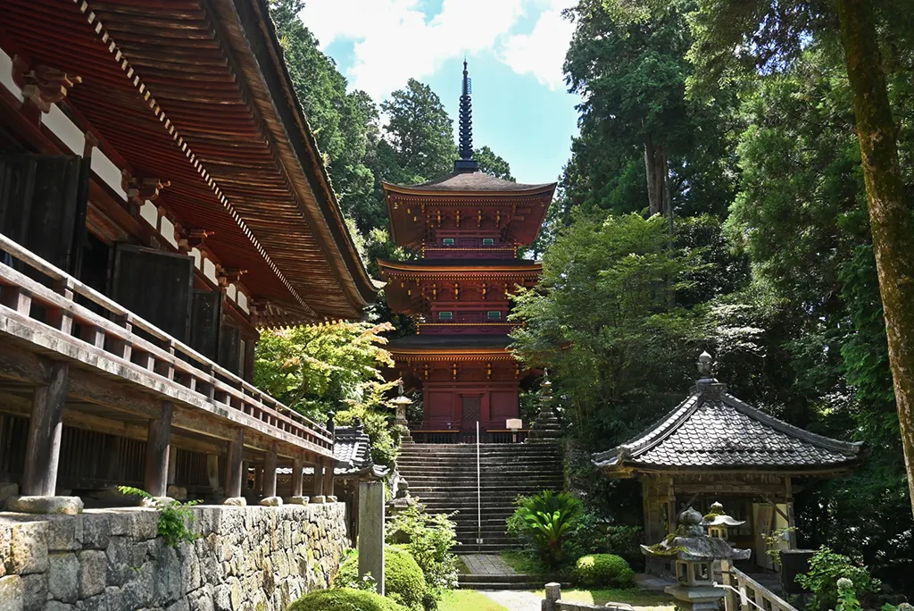 tour-image