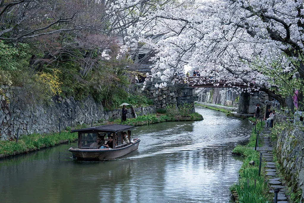 tour-image
